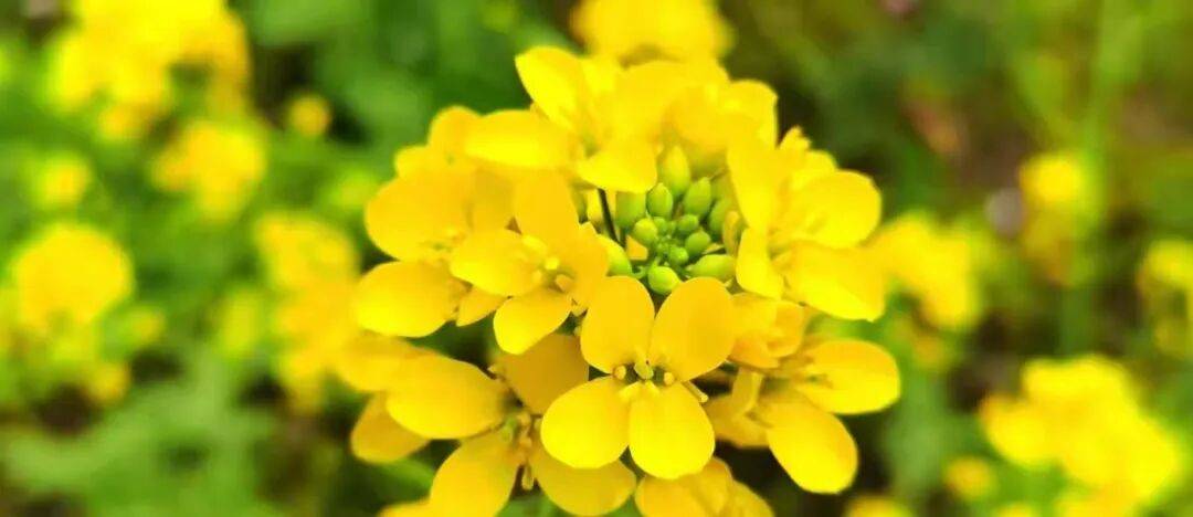 原創小學生給老師起外號被扇耳光致耳損傷，願這樣的悲劇再也不要發生