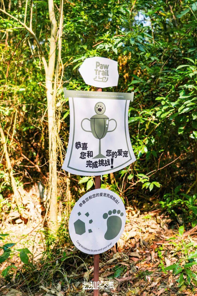 今日深圳｜聽說，羅芳郊野徑新開了個“狗狗圖書館”