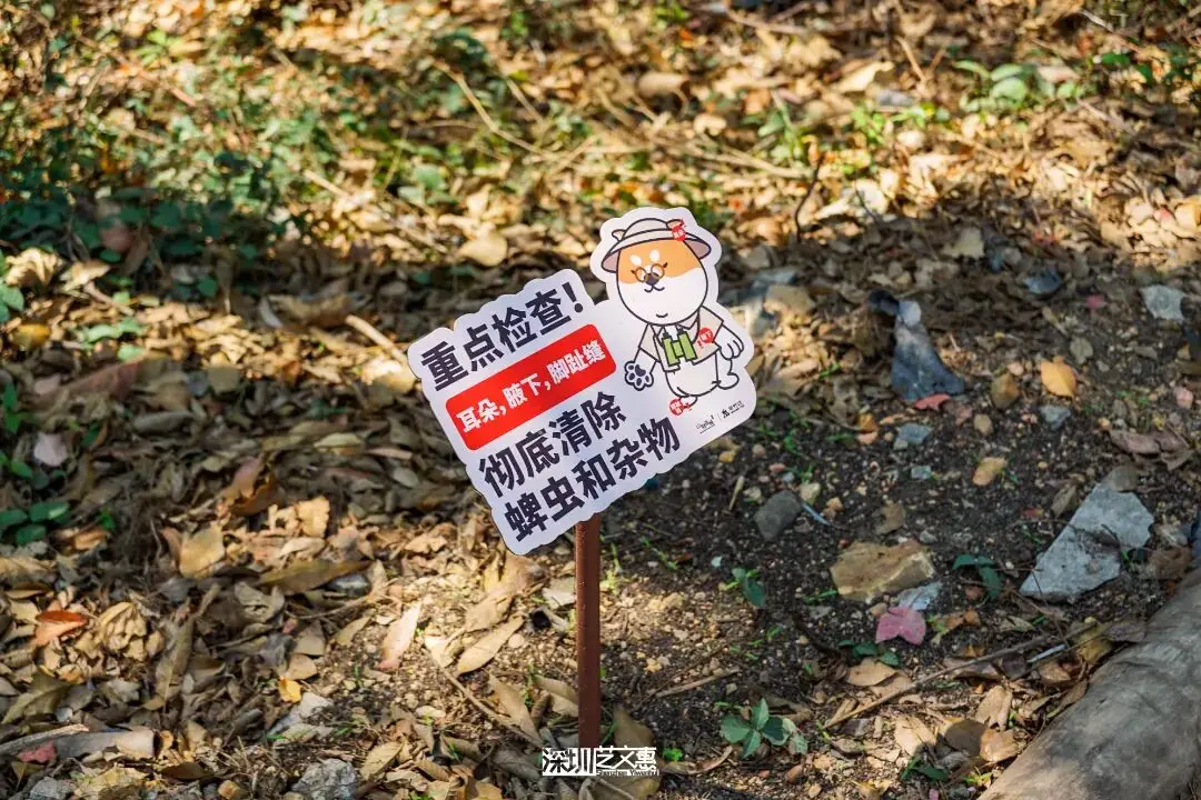 今日深圳｜聽說，羅芳郊野徑新開了個“狗狗圖書館”