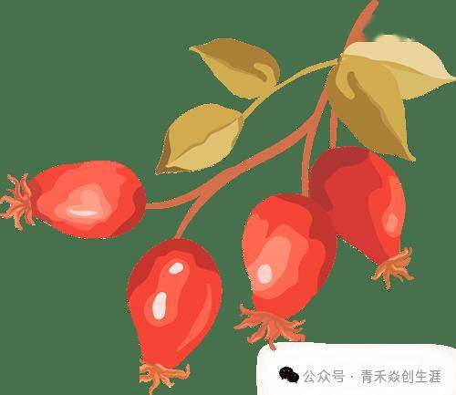 外語類考研熱門方向盤點：MTI翻譯碩士之外，這些方向競爭小前景好