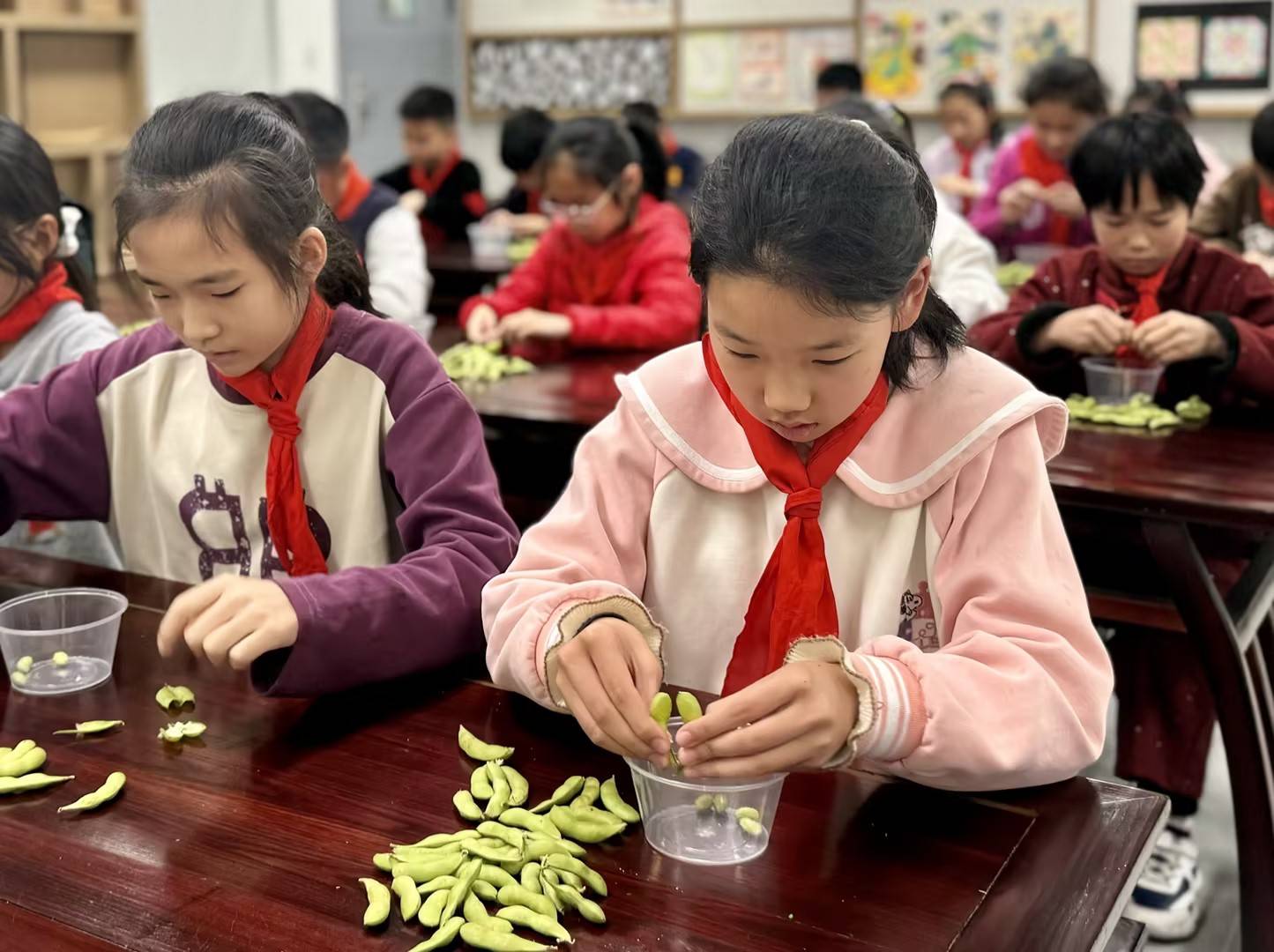 蘇州市昇平實驗小學校開展學生勞動技能競賽迎接“五一”國際勞動節