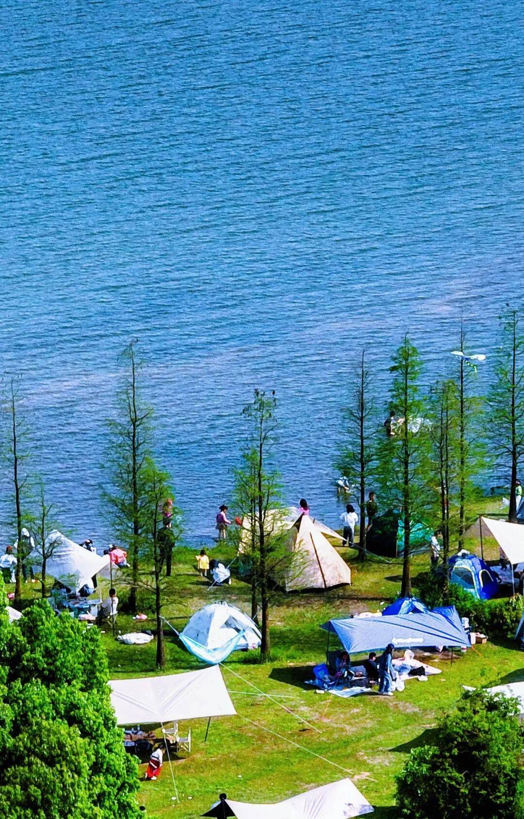 一鍵收藏！望城露營四大寶藏地，建議馬上出發