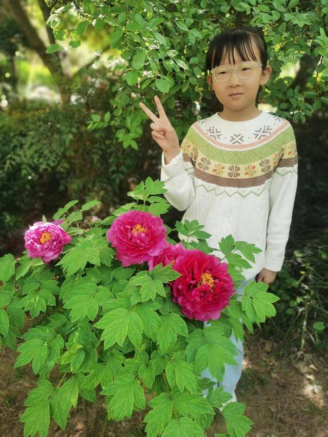 陽光作文｜鄭州市二七區大學路第四小學的作品發表了！