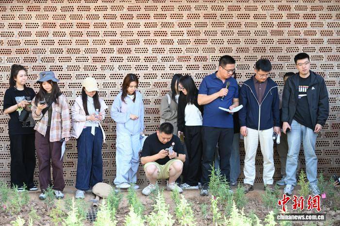 （青春華章·絲路逐光）祁連深山“90後”把論文寫在青山林海間