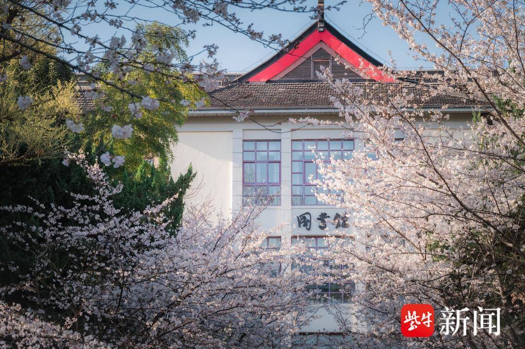 2026上好大學｜南京林業大學：雙一流招生規模領跑江蘇，拔尖培育、產教融合全域升級