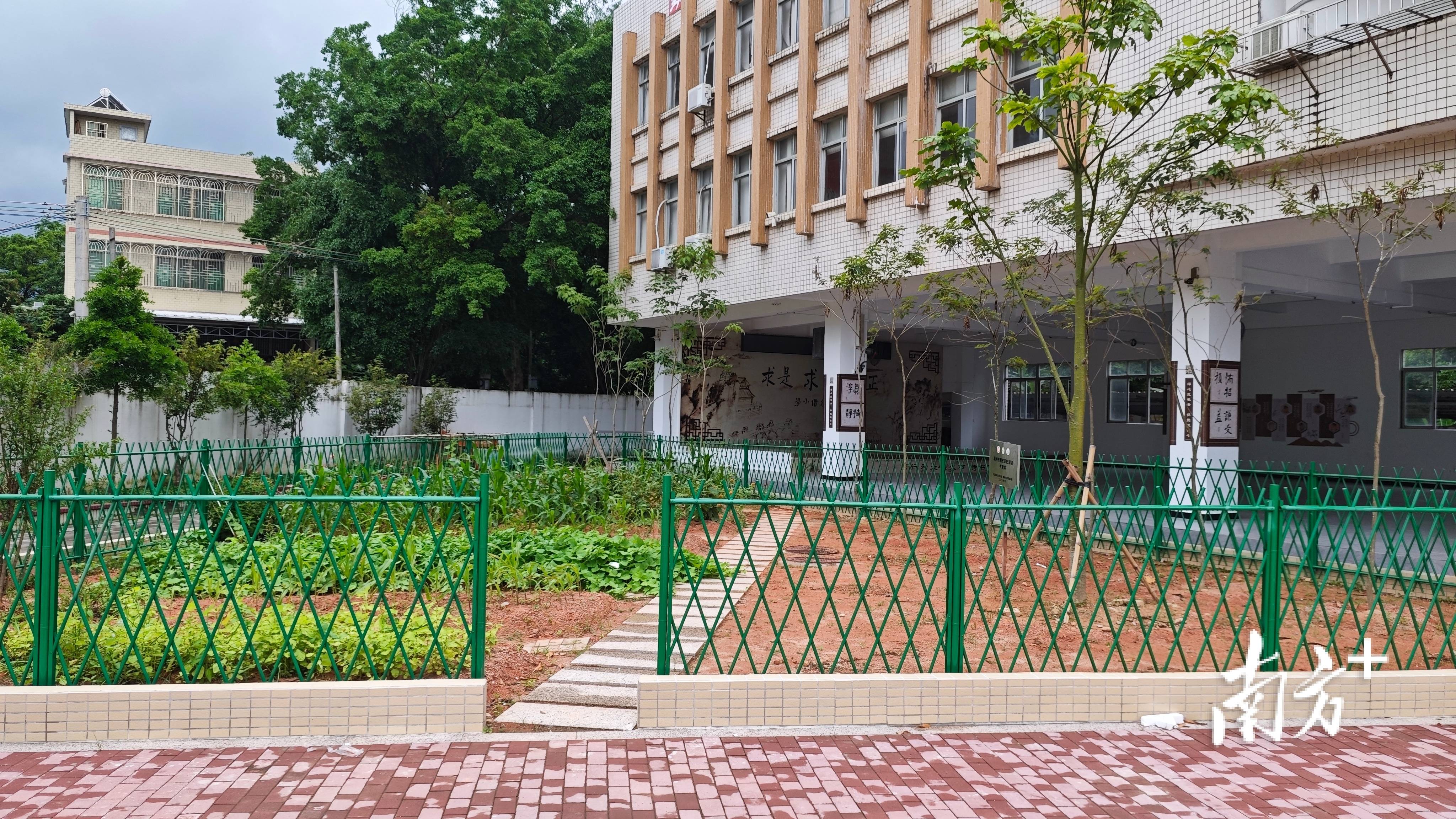 饒宗頤捐建的歸湖鎮選堂創價小學迎來新變化