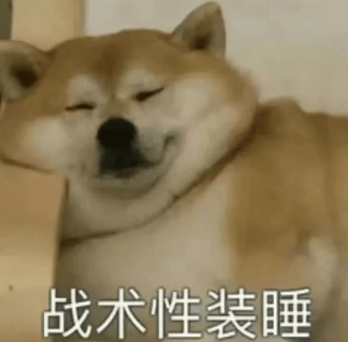 00後，整頓中老年旅遊團