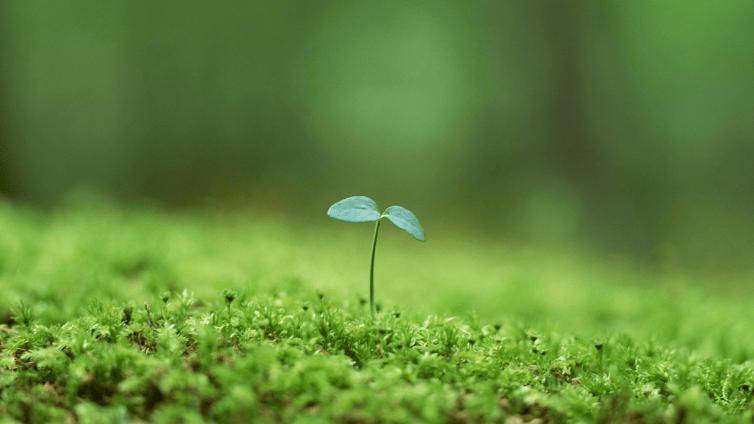 回春導引妙術（建議收藏）