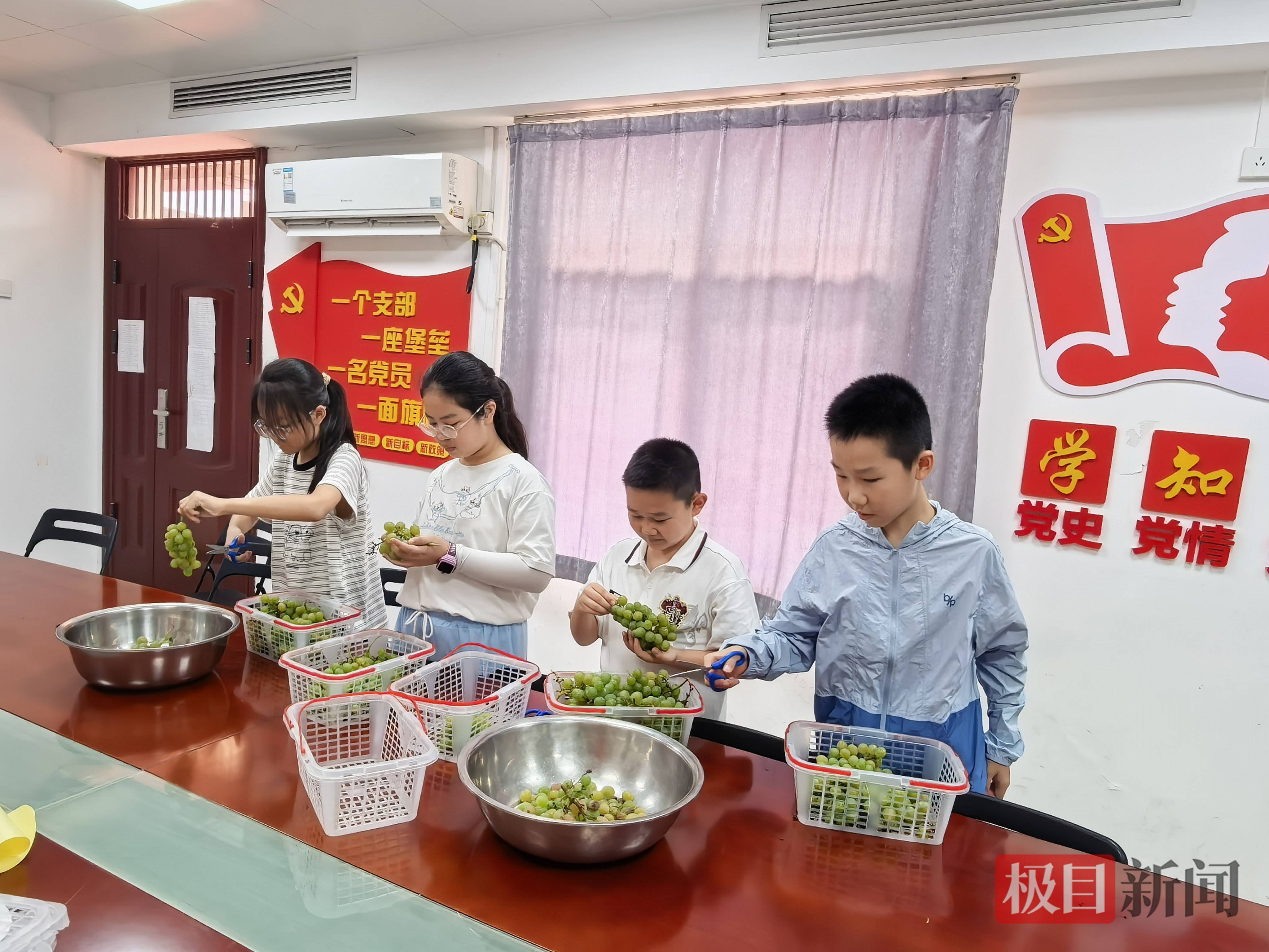 1555.5元愛心款已到賬！武漢小學生用一筐筐葡萄，為江豚“加餐”
