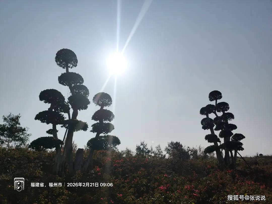 原創越來越瘋狂了，論文抄襲倒查 20 多年