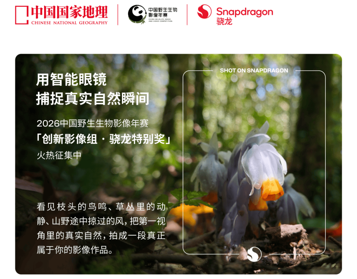 從手機到AI眼鏡，高通和中國國家地理正在開啟自然影像的第一人稱時代