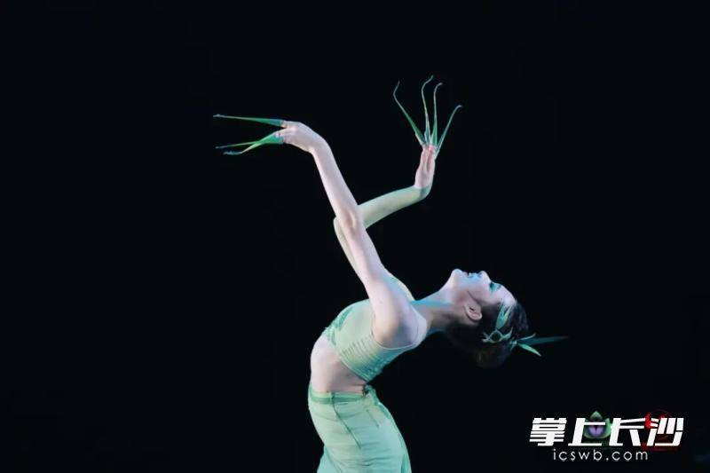 原創第六屆“荷花少年”全國舞蹈展演舉行，湖南6部作品獲多項榮譽