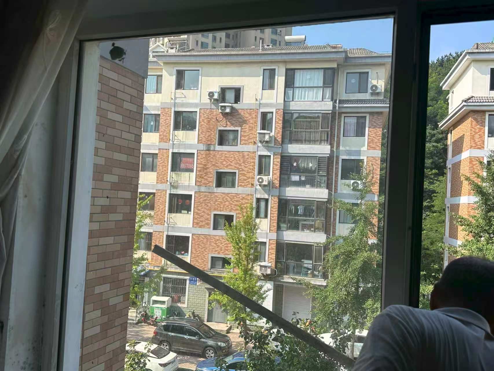 熙龍社羣快速處置馬蜂窩 為民解憂保平安